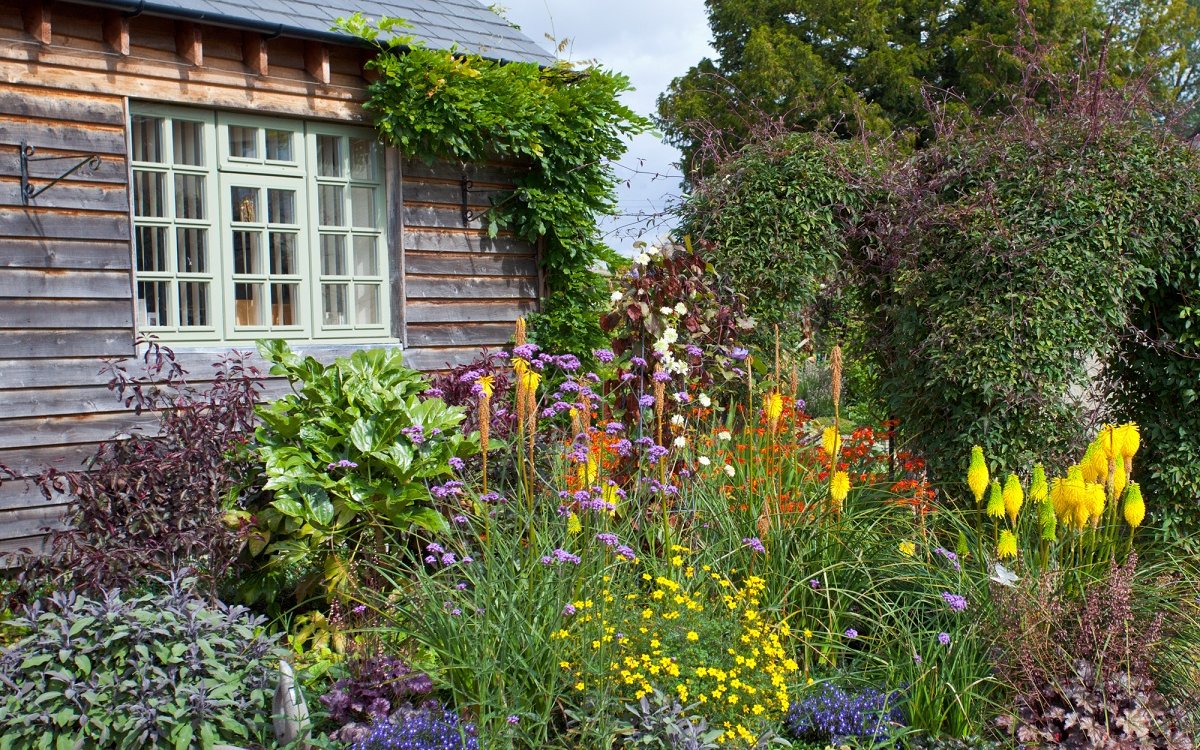 Цветы многолетники для сада - обзор лучших сортов с фото